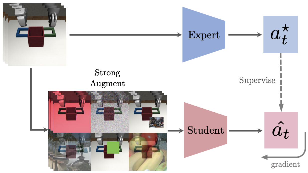 SECANT: Self-Expert Cloning for Zero-Shot Generalization of Visual Policies