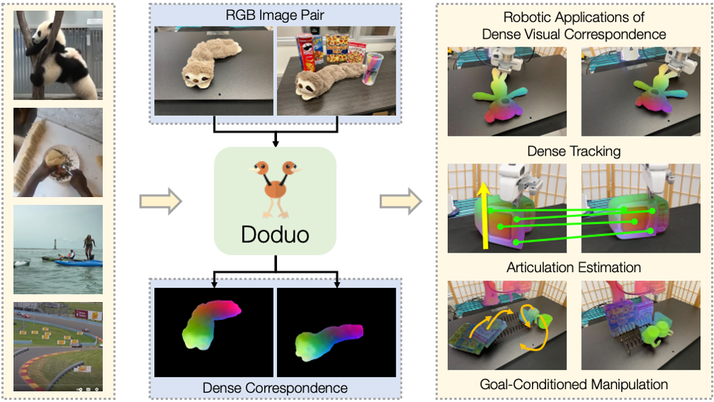 Doduo: Dense Visual Correspondence from Unsupervised Semantic-Aware Flow